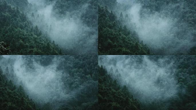 山中大雨雨雾云雾24