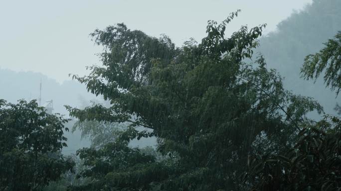 山中大雨雨雾云雾03