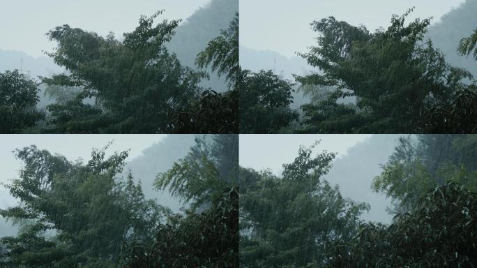 山中大雨雨雾云雾03