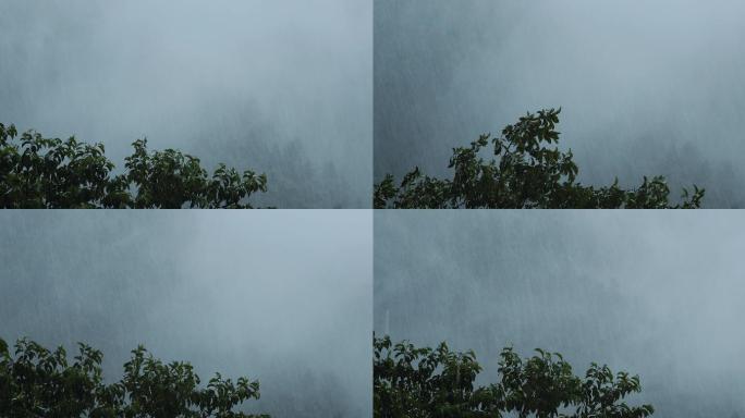 山中大雨雨雾云雾17