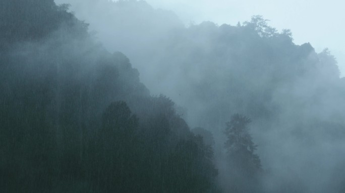 山中大雨雨雾云雾14