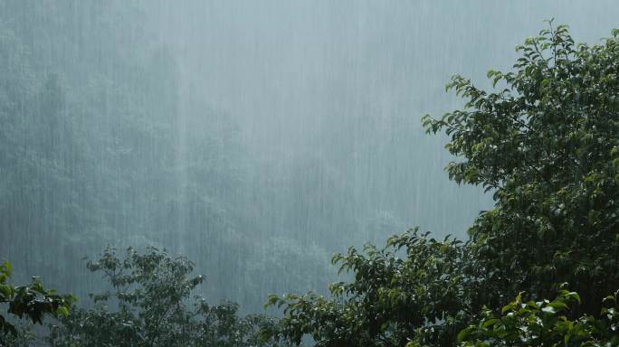 4K山中大雨雨雾云雾06