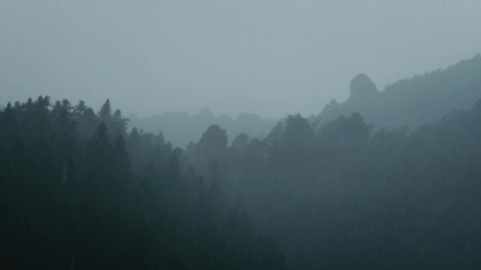 4K山中大雨雨雾云雾11