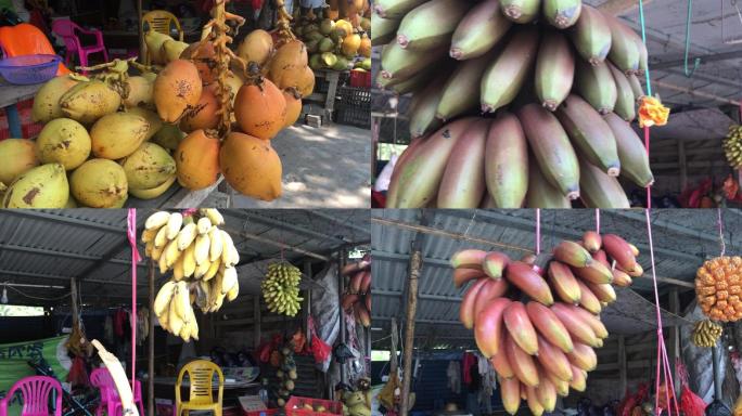 海南亚热带水果香蕉菠萝椰子海南水