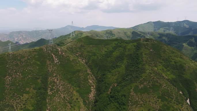 海拔2500横山山脉万亩野生黄芪基地航拍