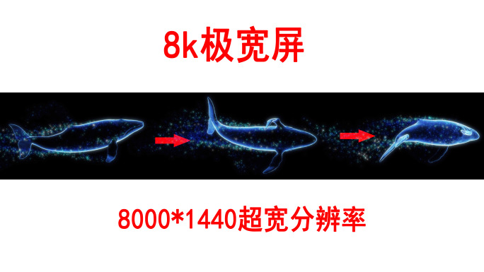 粒子鲸鱼8k超宽屏（2）-alpha通道