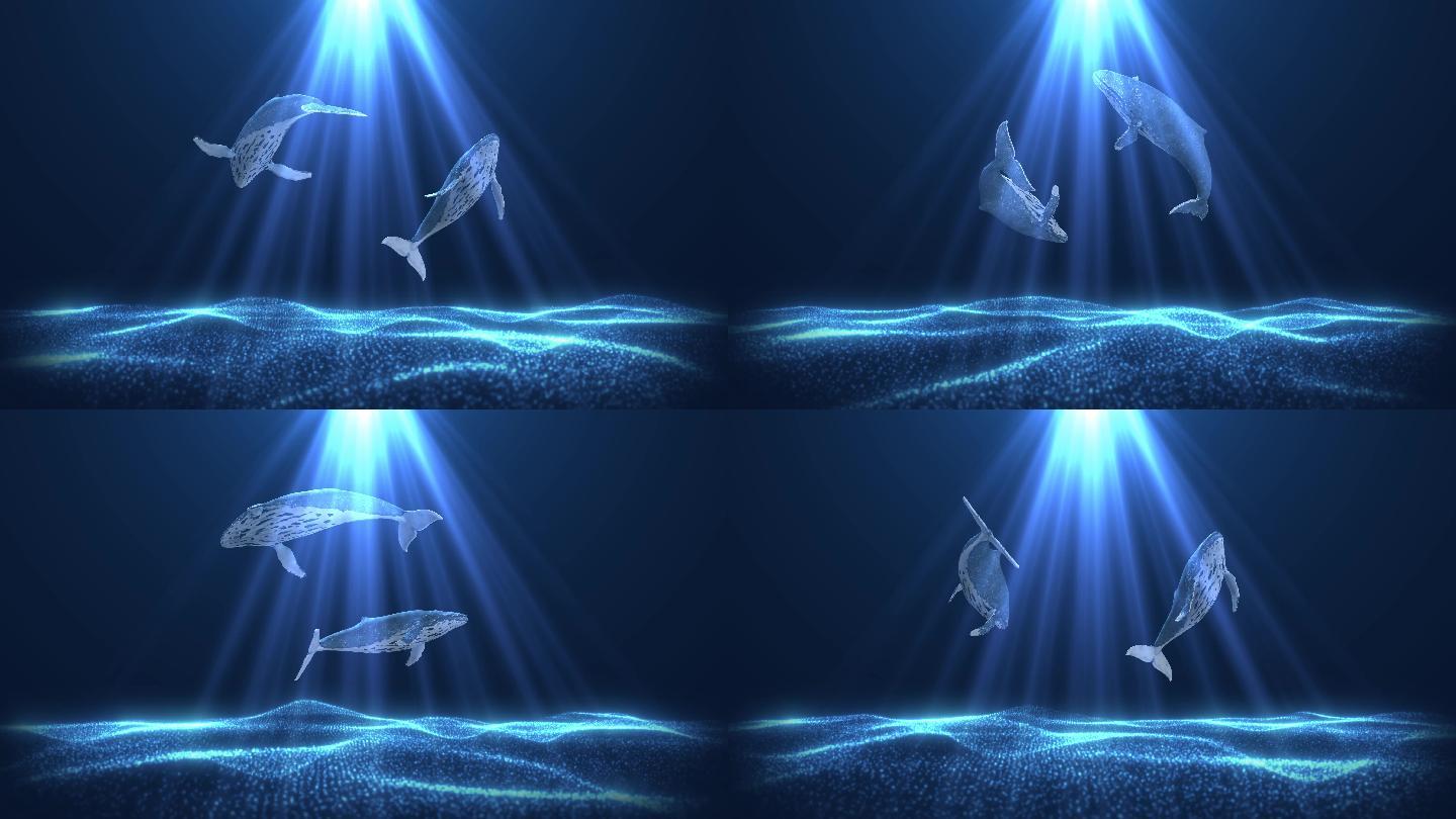 梦幻唯美粒子鲸鱼（02）-无缝循环