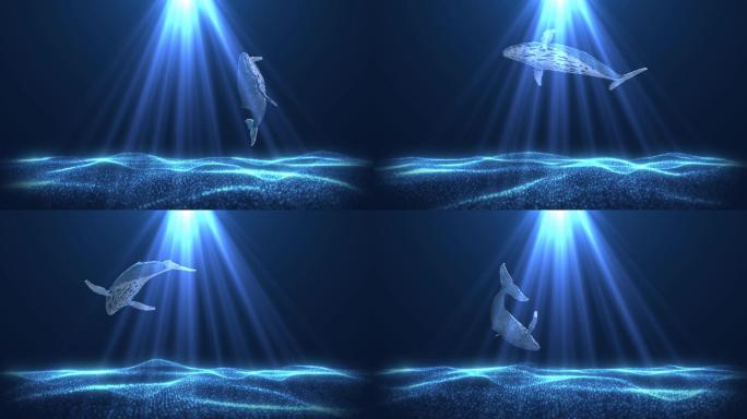 梦幻唯美粒子鲸鱼（05）-无缝循环