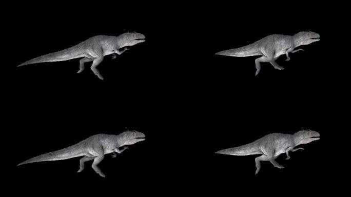 巨兽恐龙奔跑走路动画(11)