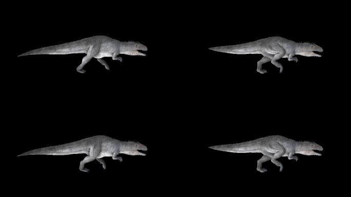 巨兽恐龙奔跑走路动画(3)