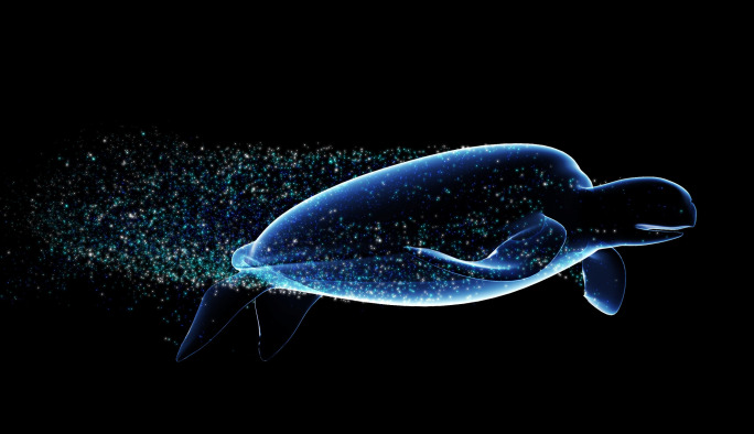 粒子海龟超宽屏（01）-alpha通道