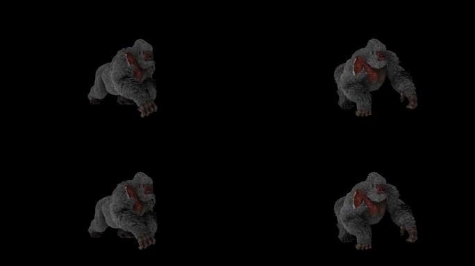 受伤的猩猩奔跑走路动画(4)