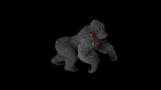 受伤的猩猩奔跑走路动画(6)