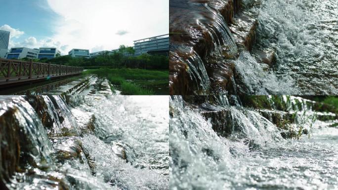 生态产业园国家生物产业基地湿地公园特写