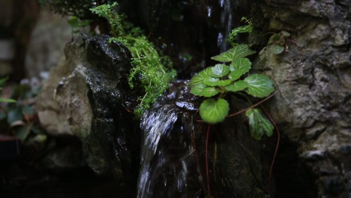 假山流水瀑布特写流水声