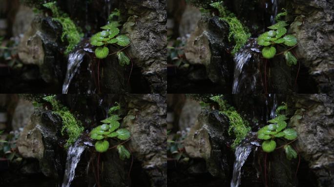 假山流水瀑布特写流水声