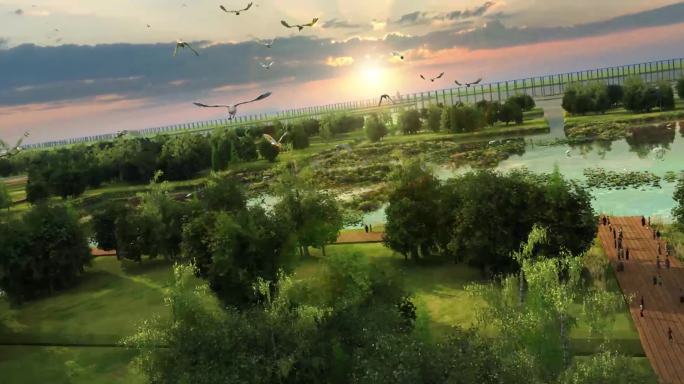 【三维】湿地公园白鹭丹顶鹤