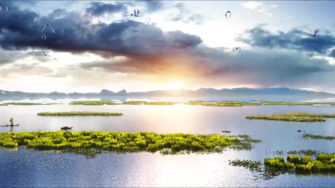 【三维】湿地公园白鹭丹顶鹤日落日出