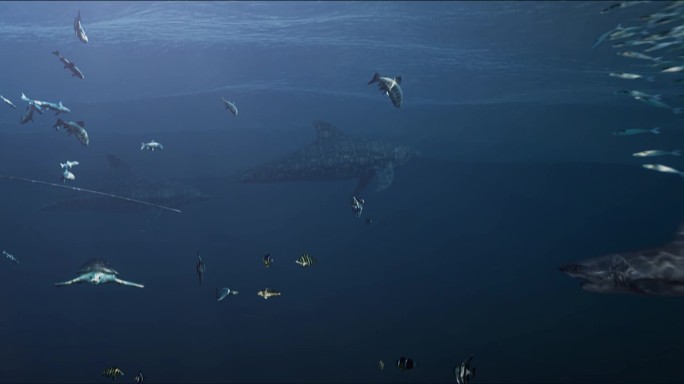 海底鱼群深海鱼群深海