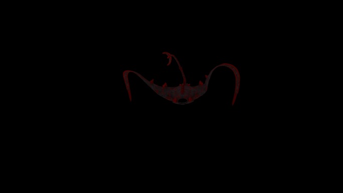 红蝙蝠鱼攻击动画(1)