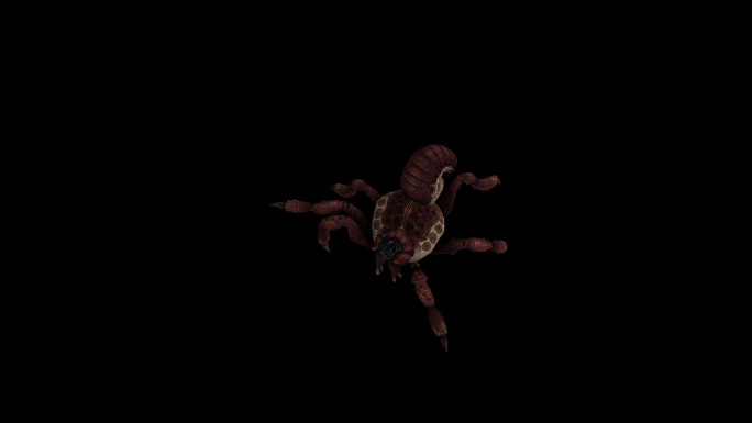 红蜘蛛走路奔跑动画(4)