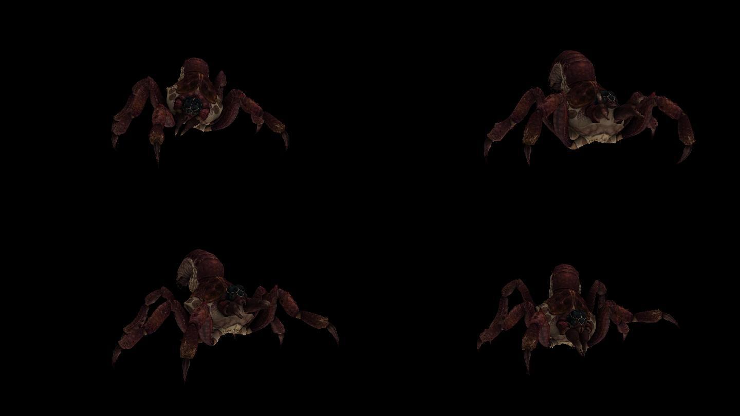 红蜘蛛攻击动画(5)