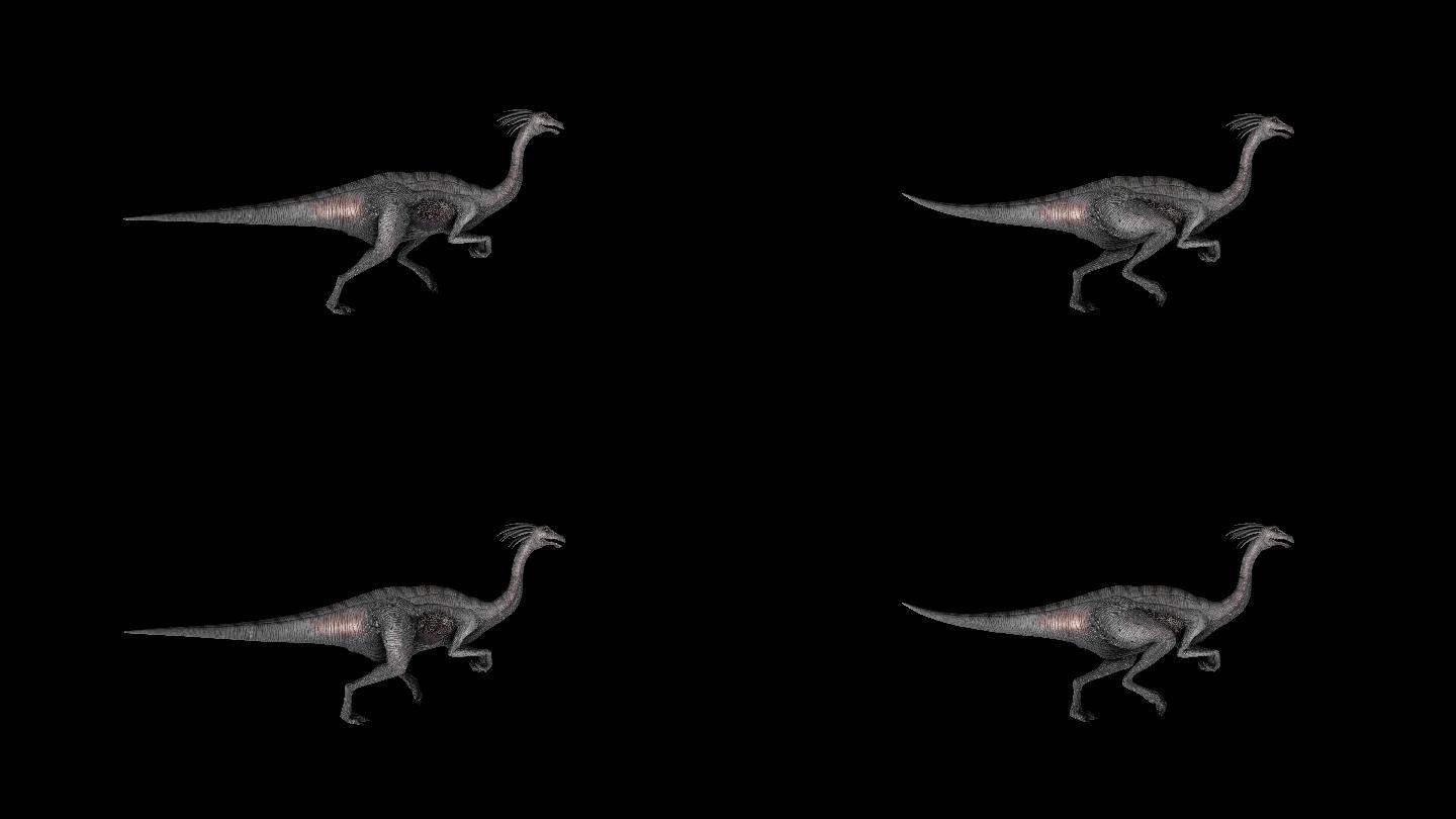 鸡形龙恐龙奔跑走路动画(11)