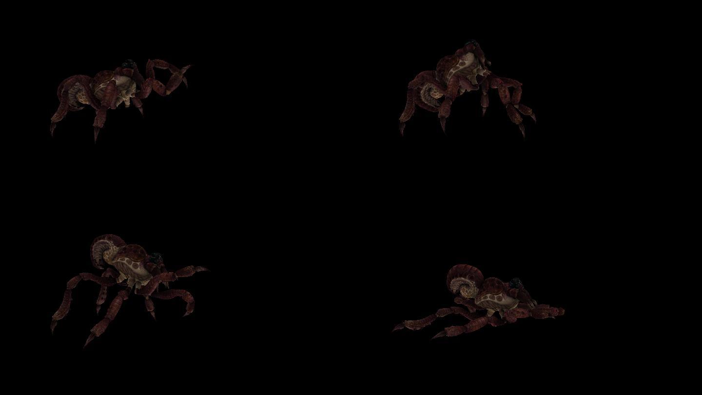 红蜘蛛死亡动画(2)