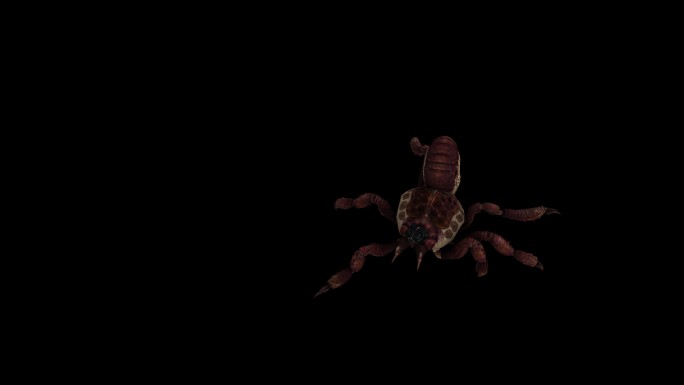 红蜘蛛走路奔跑动画(8)