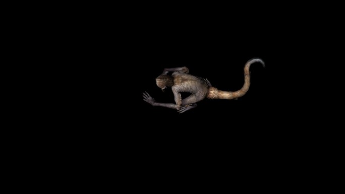 猴子攻击动画(6)