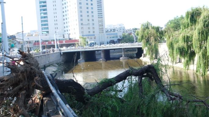 利奇马台风自然灾害灾后重建废墟