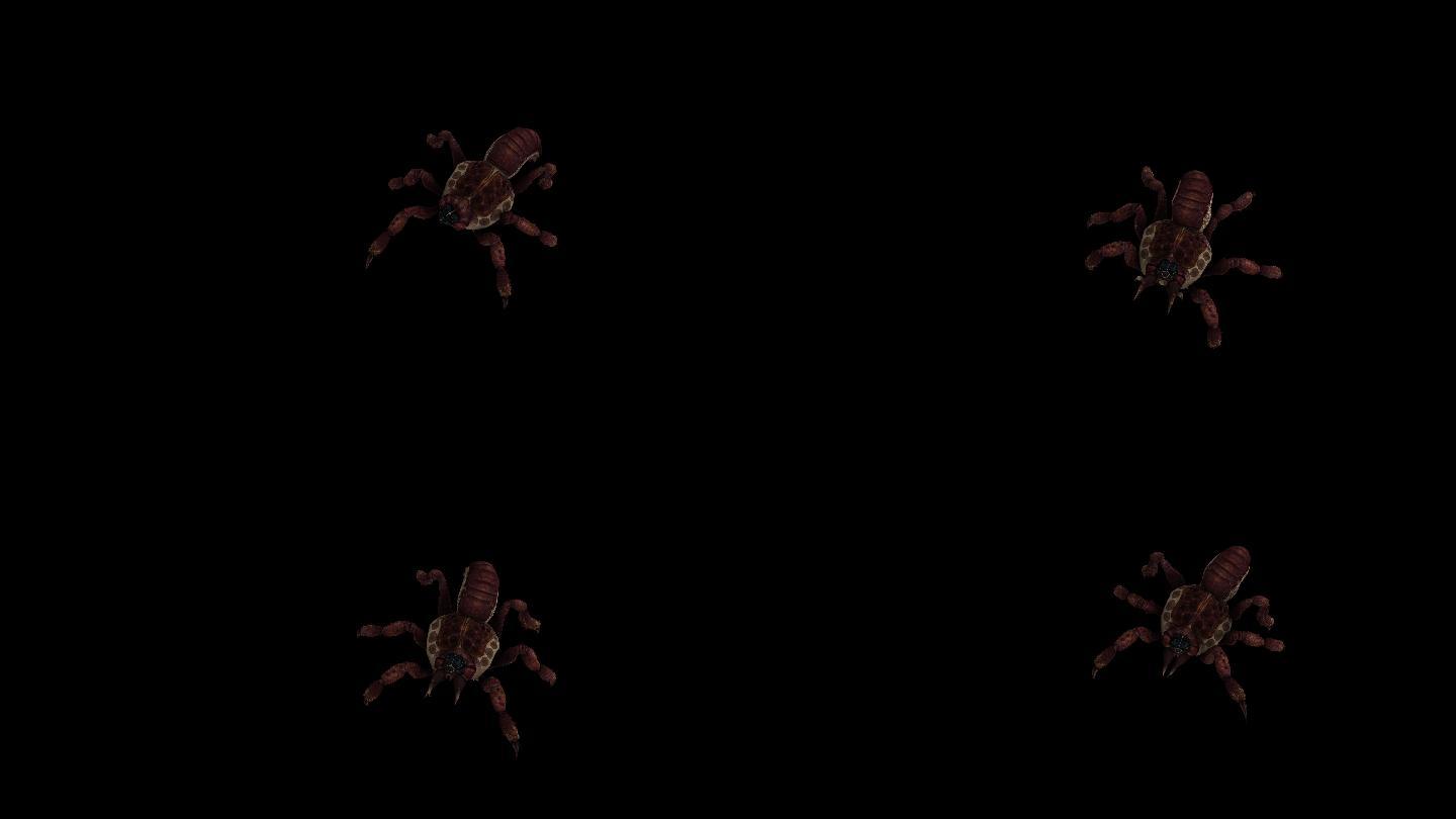 红蜘蛛攻击动画(2)