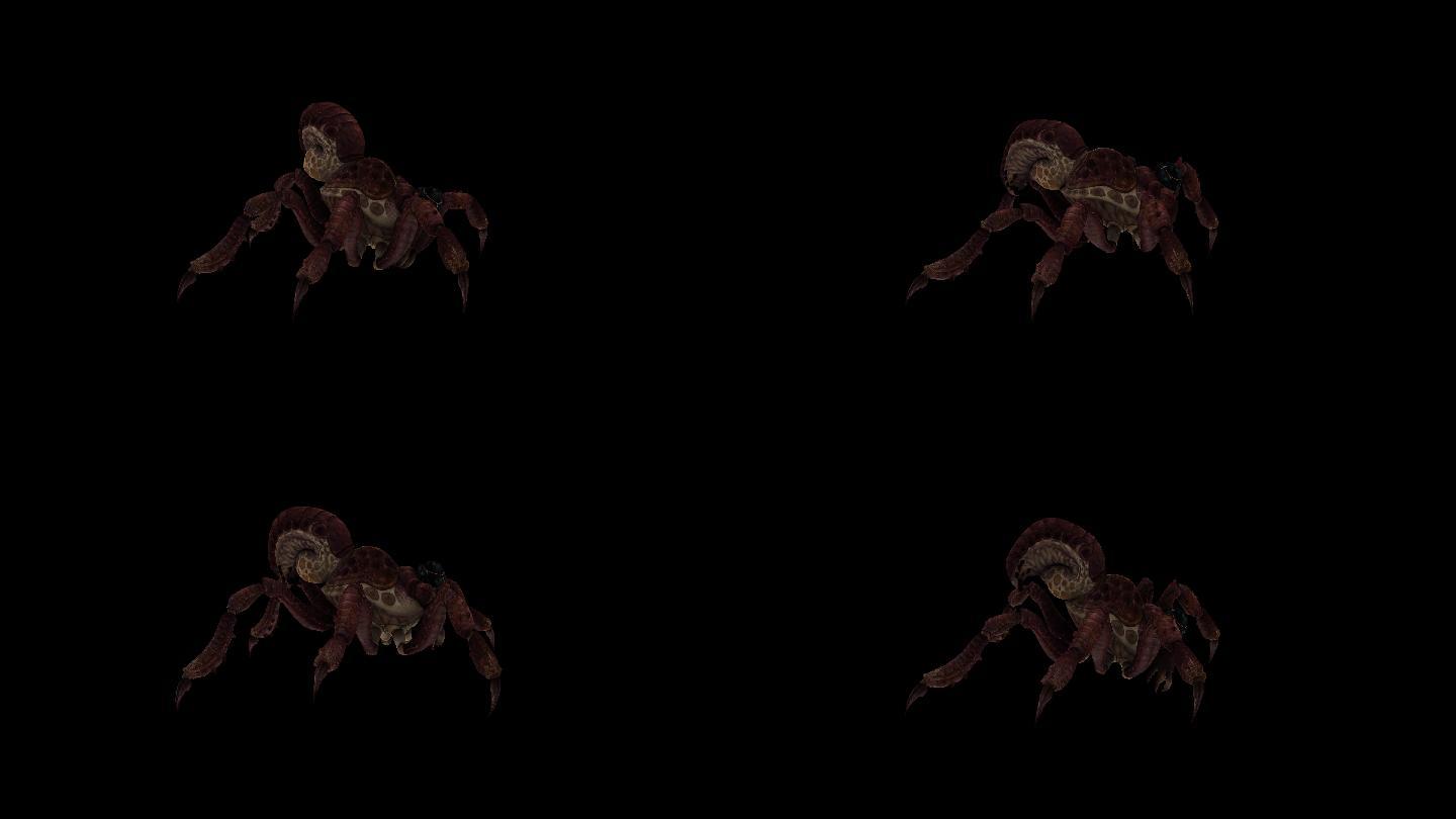 红蜘蛛动画(3)