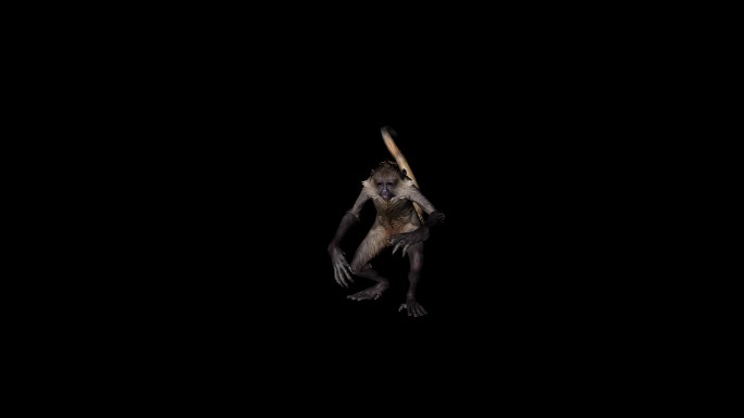 猴子攻击动画(7)