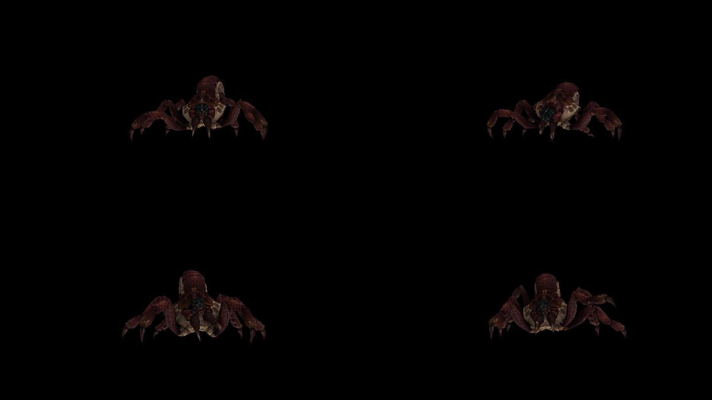 红蜘蛛攻击动画(7)