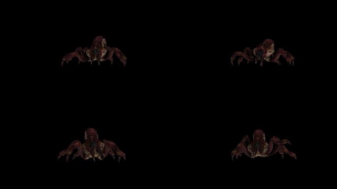 红蜘蛛攻击动画(7)