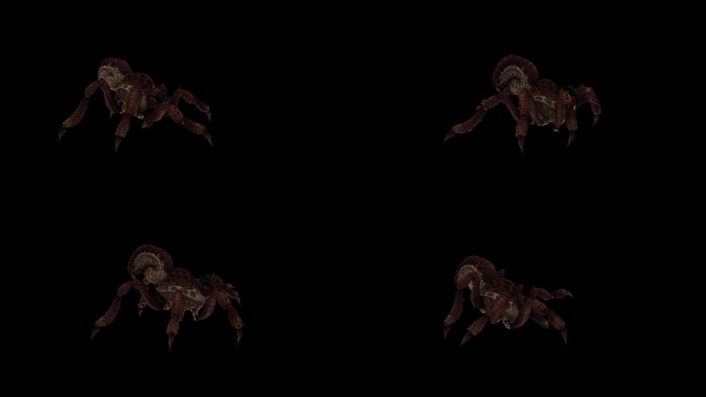 红蜘蛛攻击动画(4)