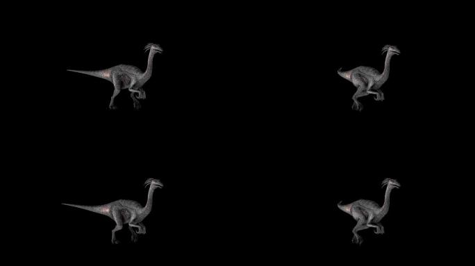 鸡形龙恐龙奔跑走路动画(9)
