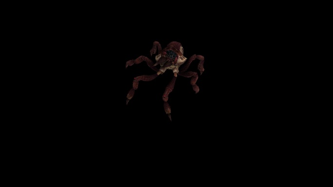 红蜘蛛死亡动画(4)