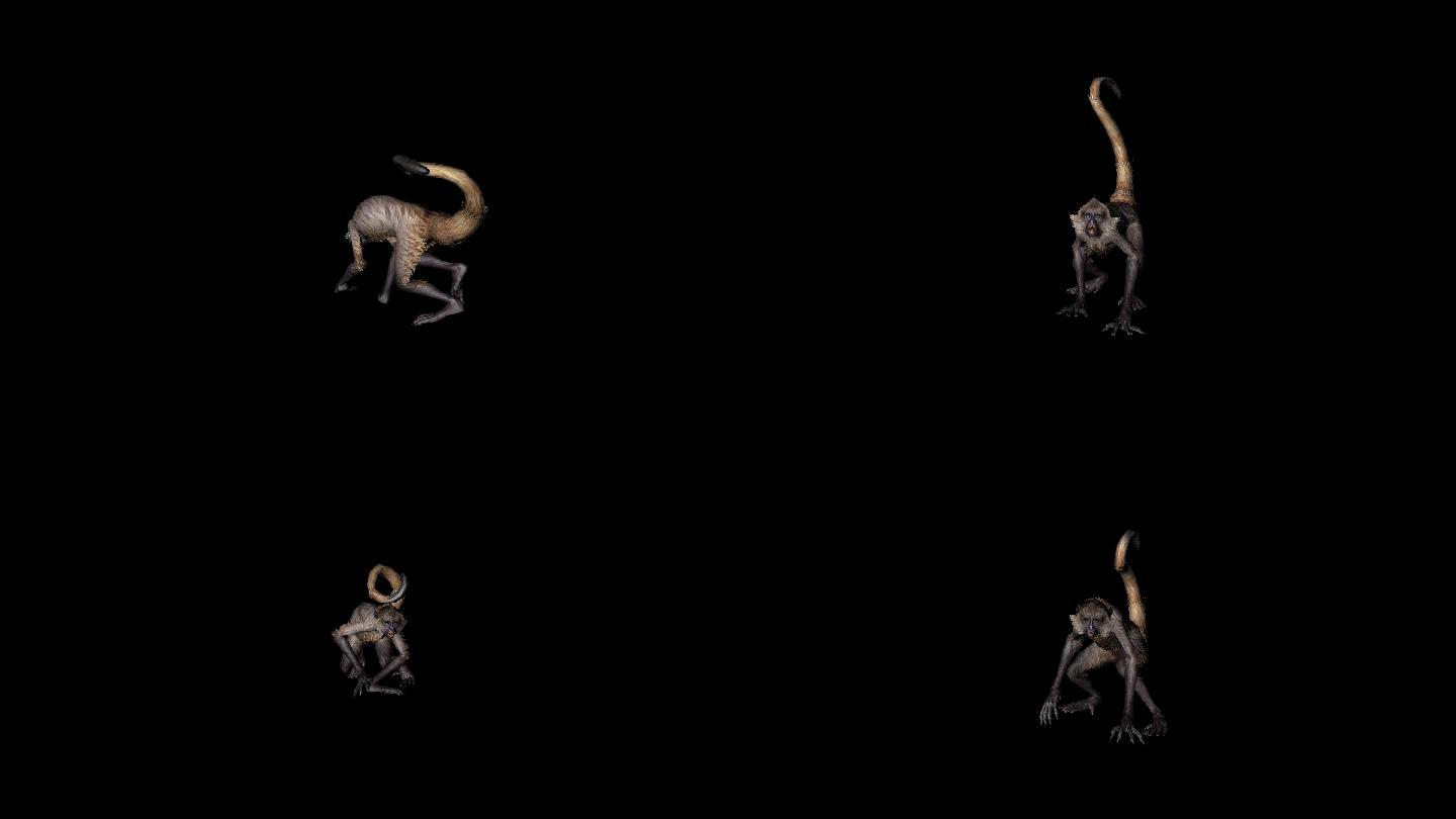 猴子攻击动画(11)