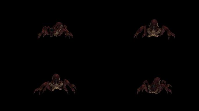红蜘蛛攻击动画(3)