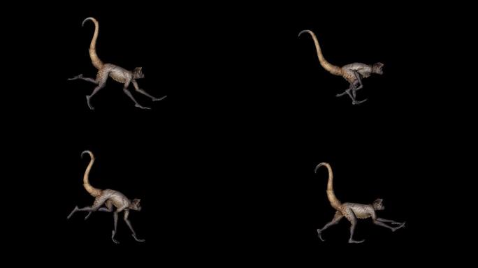 猴子走路奔跑动画(1)