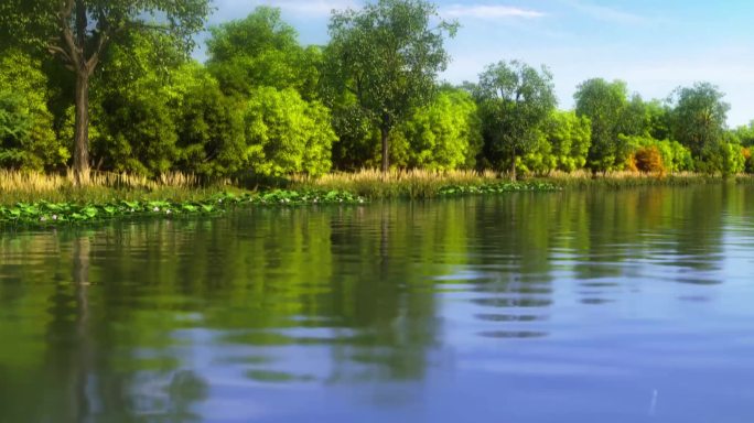 白鹭飞鸟湿地湖泊