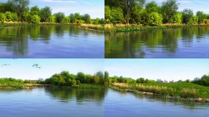 白鹭飞鸟湿地湖泊