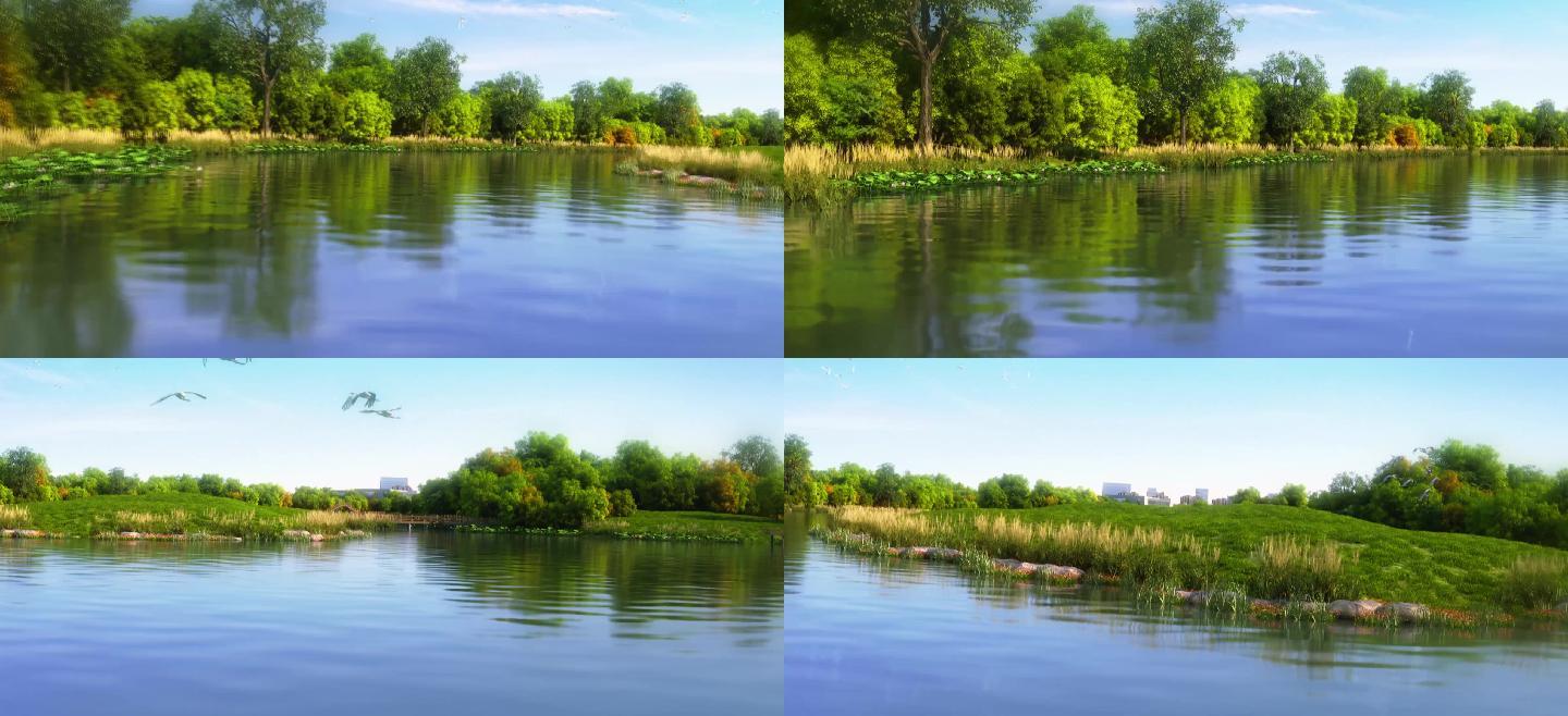 白鹭飞鸟湿地湖泊