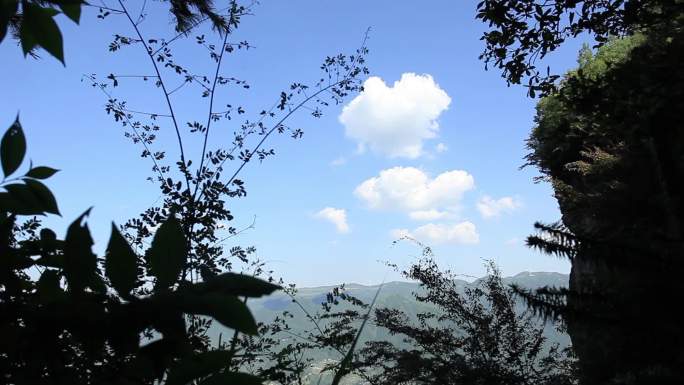 生态自然蓝天白云悬崖植物植被、可商用
