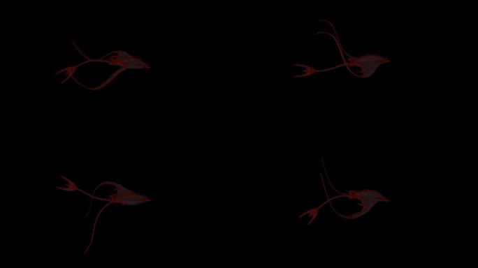 红蝙蝠鱼游泳动画(3)