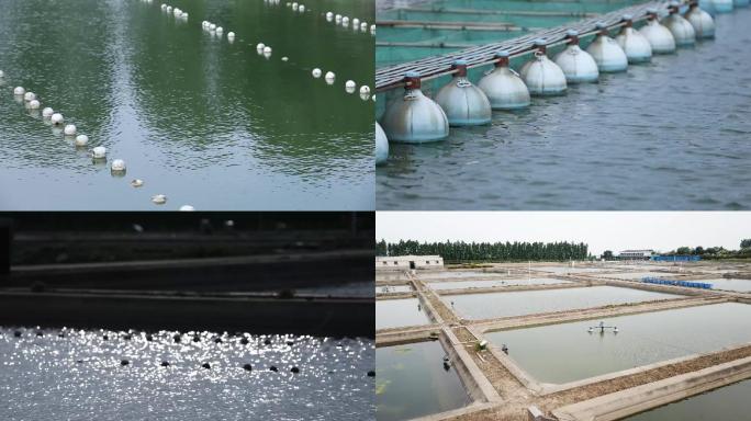 中国水产淡水渔业科学研究现代农业