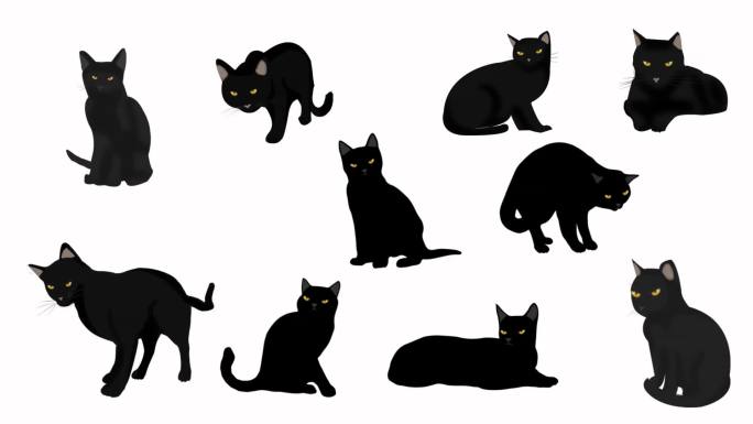 10段带通道万圣节宠物猫黑猫咪恐怖元素