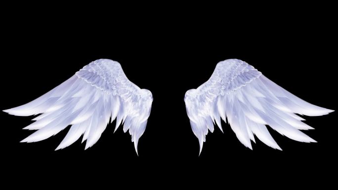 天使的翅膀舞动通明通道羽毛